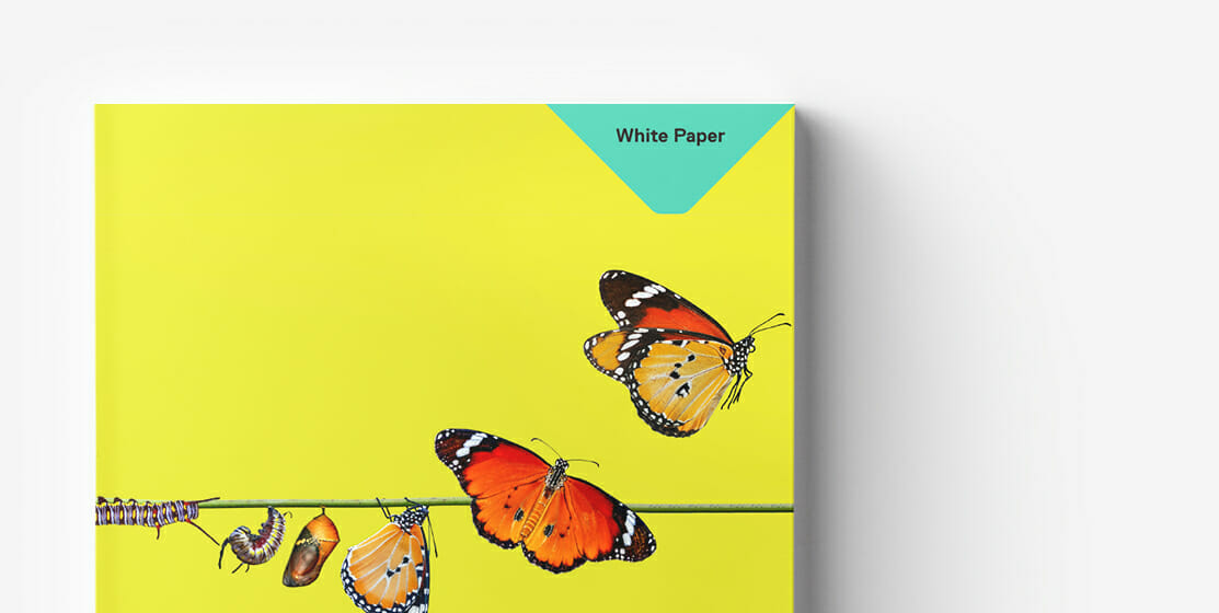 Cover of a white paper with a bright yellow background featuring illustrations of butterflies in different stages of metamorphosis from caterpillar to adult butterfly, symbolizing the evolution and growth achievable through B2B Commerce best practices.