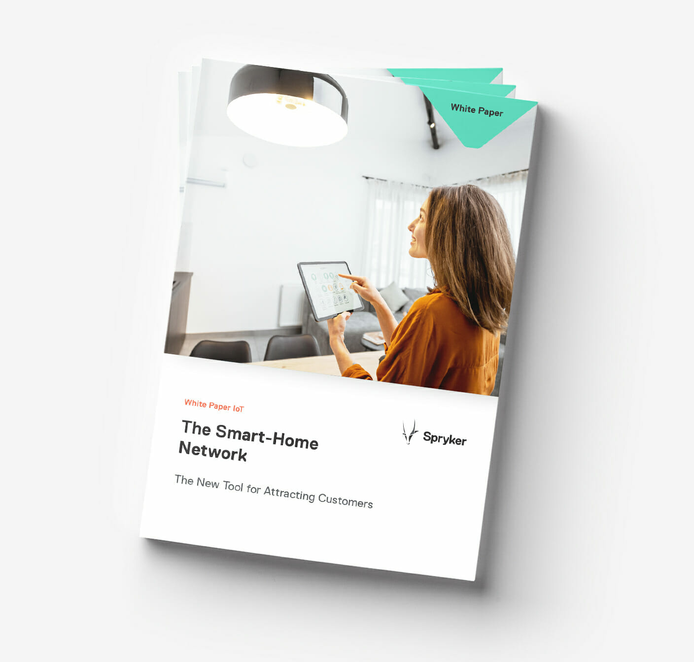 Smart Home E-commerce White Paper