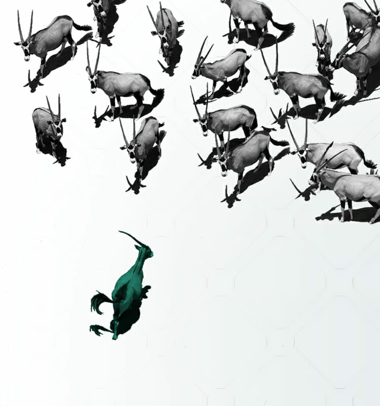 In the upper-right corner of the image, a herd of gray antelopes runs swiftly, reminiscent of a competitive Gartner Magic Quadrant. Meanwhile, a single green antelope stands out in the lower-left corner against a light background.