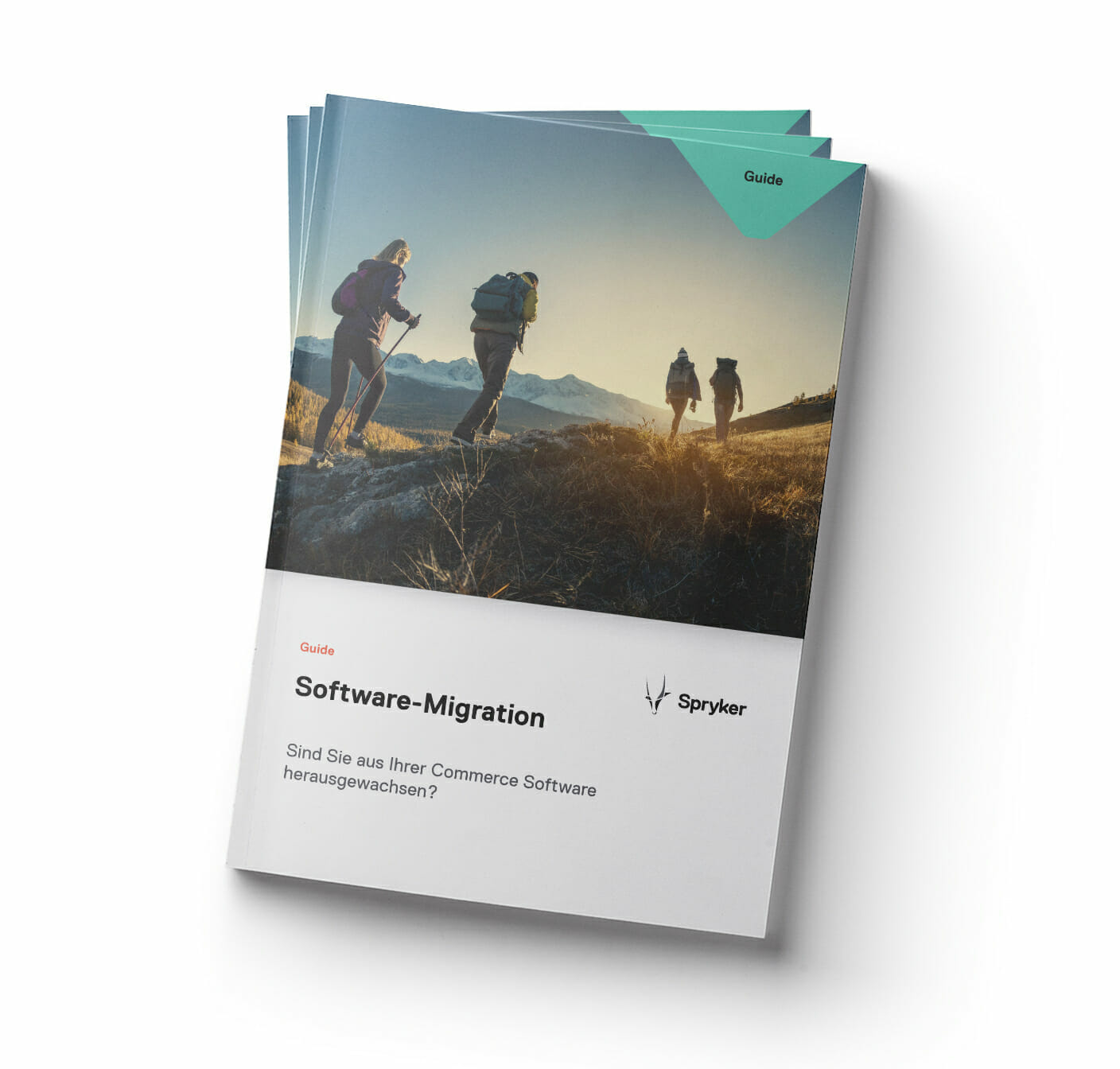 Software Migration Guide Cover