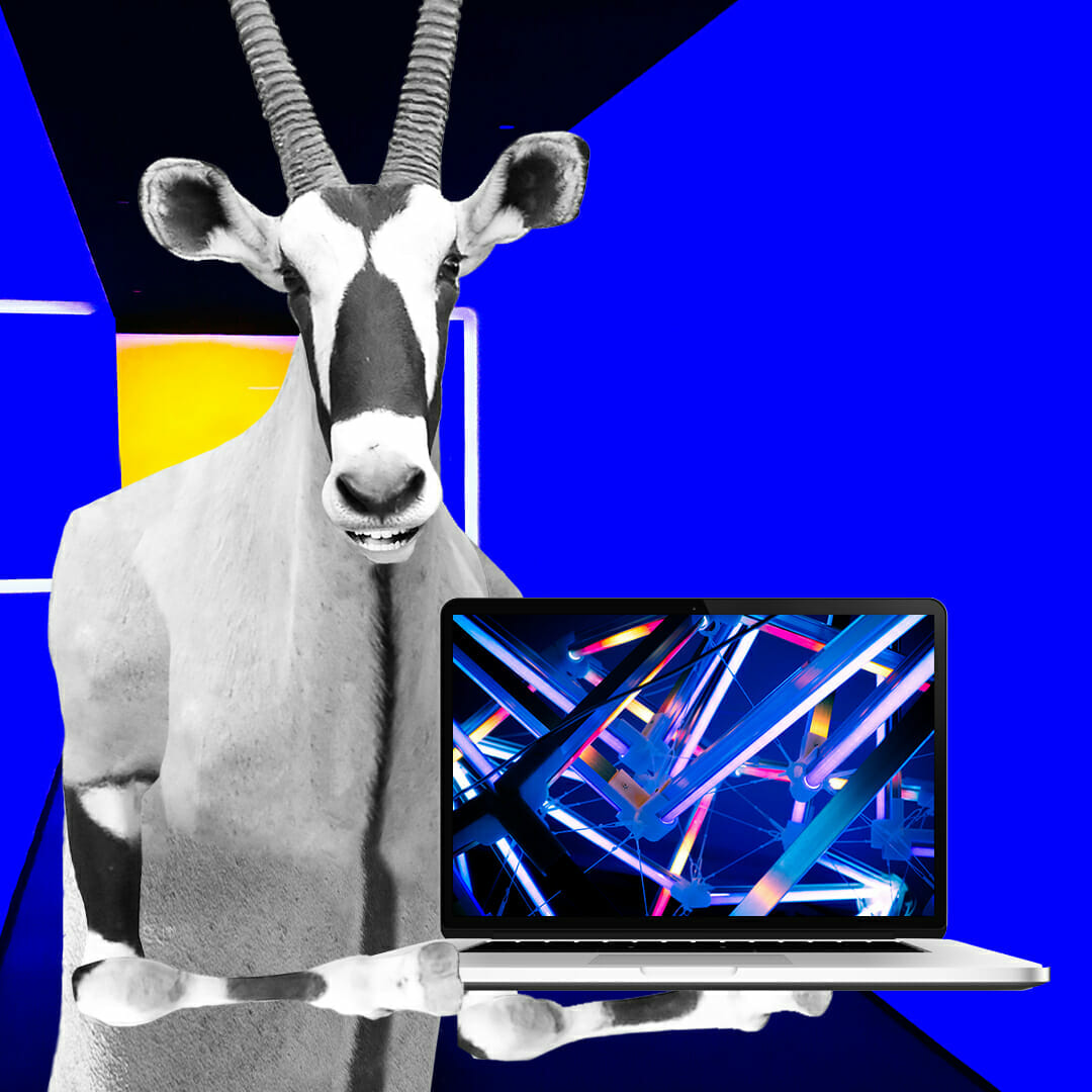 A standing gazelle with long, sharp horns, holding a laptop. The laptop screen displays colorful, abstract streaks of light. The background is bright blue with geometric shapes in various colors, creating a futuristic and vibrant atmosphere.