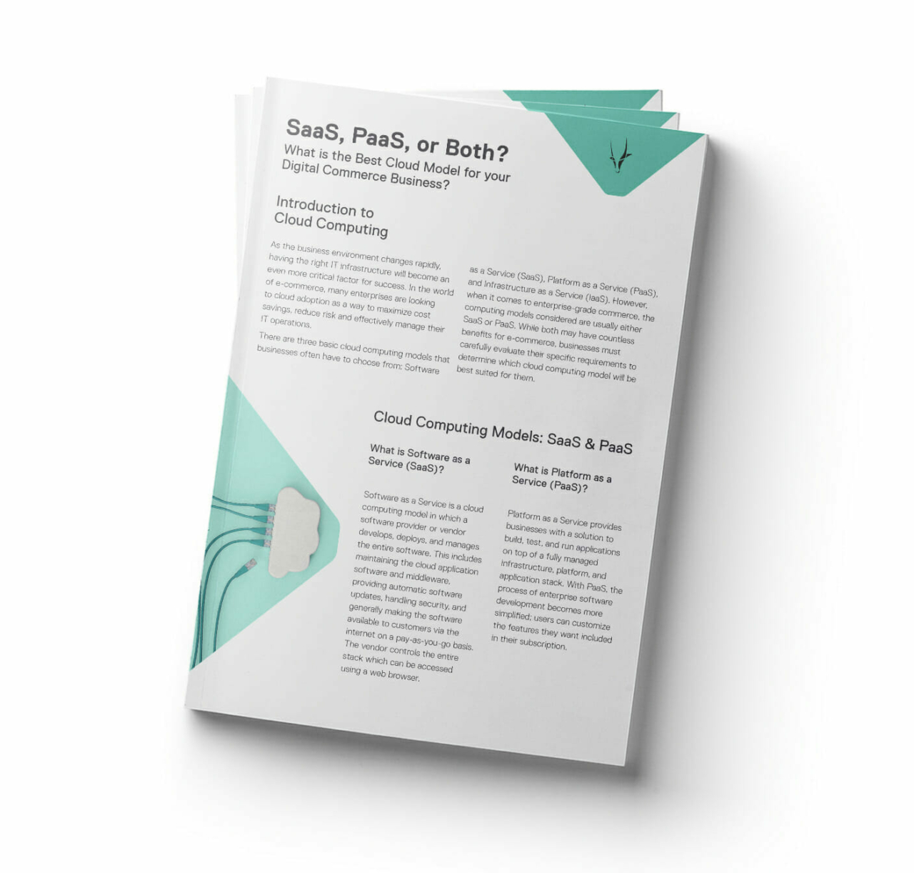 Saas Paas Or Both Spryker Saas Paas Or Both Spryker
