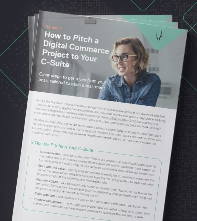 Cover for How to Pitch a Digital Commerce Project to Your C-Suite