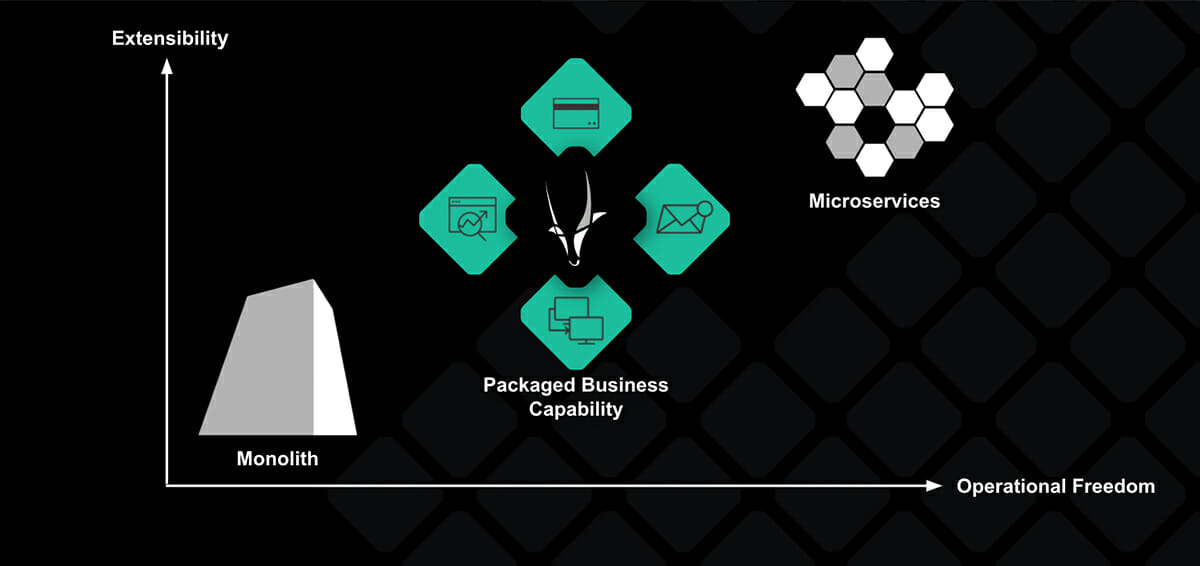 Graphic displaying Monolith on the left, Packaged Business Capabilities in the middle and Microservices on the right