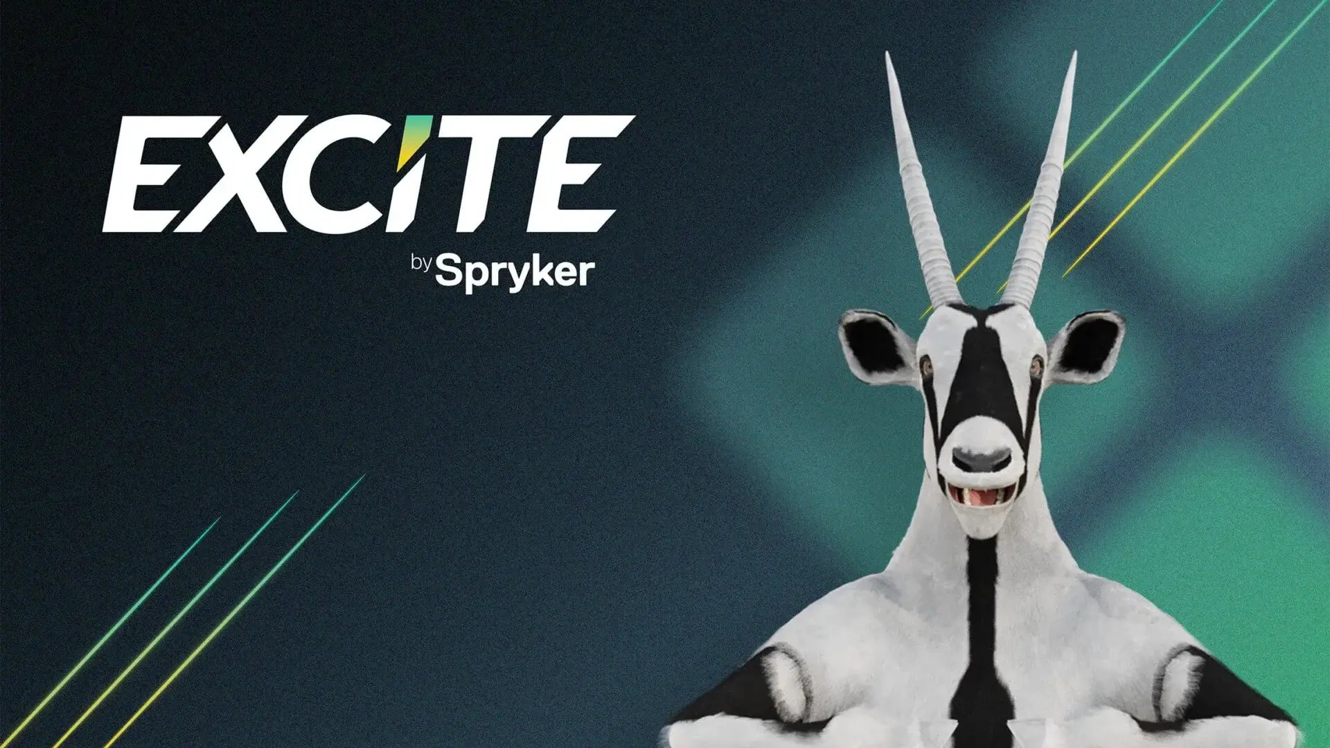 excite-25-lp-video-banner-1920x1080