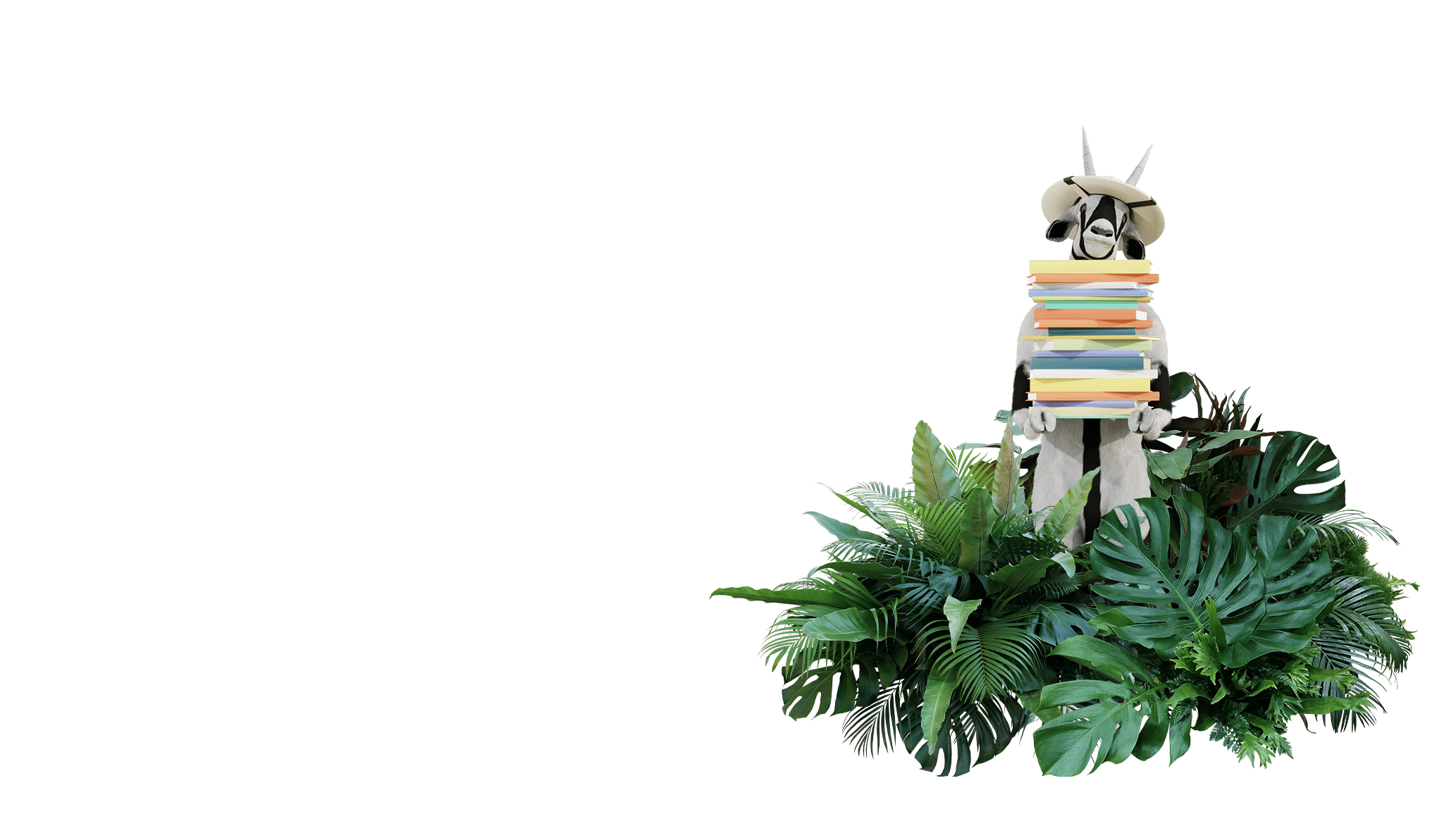 oskar-safari-header-1920x1080