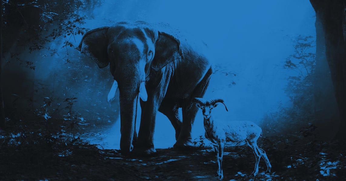 PHP_Blog_Header