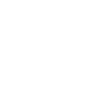 icon_High Performance_white